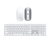 Apple Magic Mouse 2 + Magic Keyboard 2 estesa con pad numerico con batteria integrata (Ricondizionato)