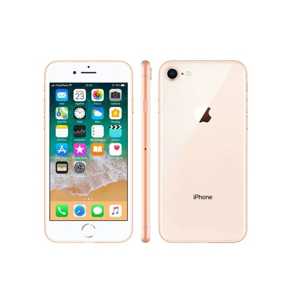 Apple iPhone 8 64 GB Gold 4.7" Retina HD (Ricondizionato)