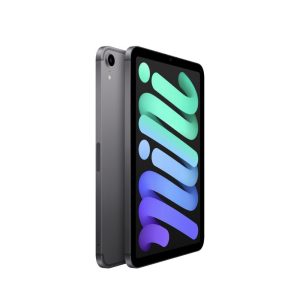 Apple iPad Mini 8.3 pollici (2021) 6a Generazione, Grigio Siderale - 64GB - Wi-Fi - Ottimo 7 IPAD MINI GREY 2 - Refurbis